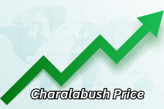 Charalabush Price Complete Guide to Cost, Value, and Buying Factors