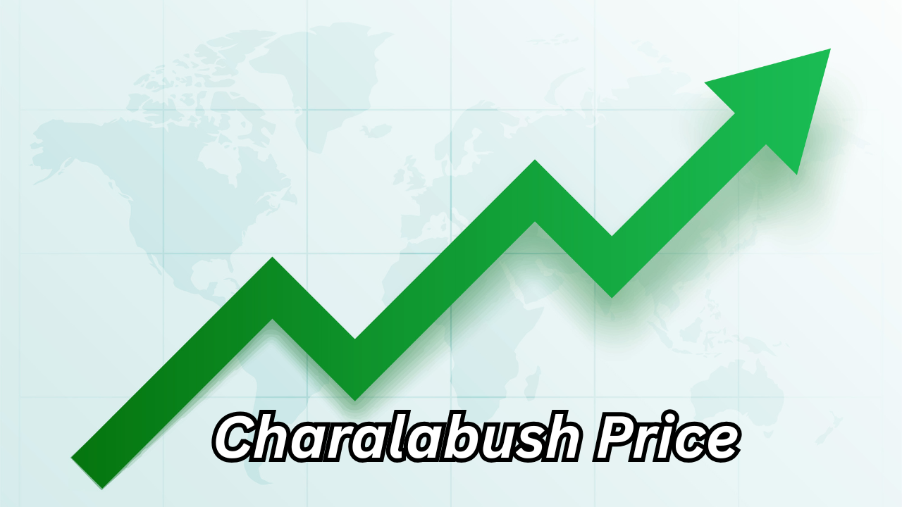Charalabush Price Complete Guide to Cost, Value, and Buying Factors