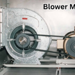 Blower Motor