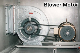 Blower Motor