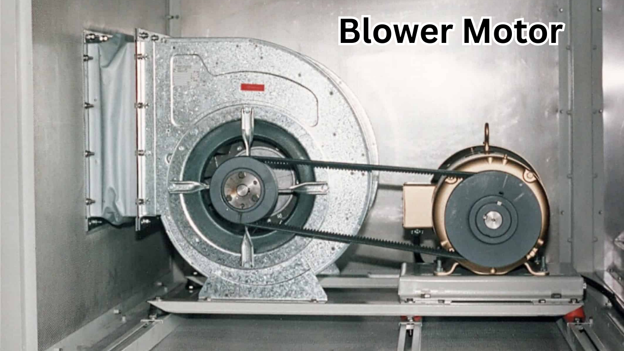 Blower Motor