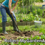 Robert MyGardenAndPatio